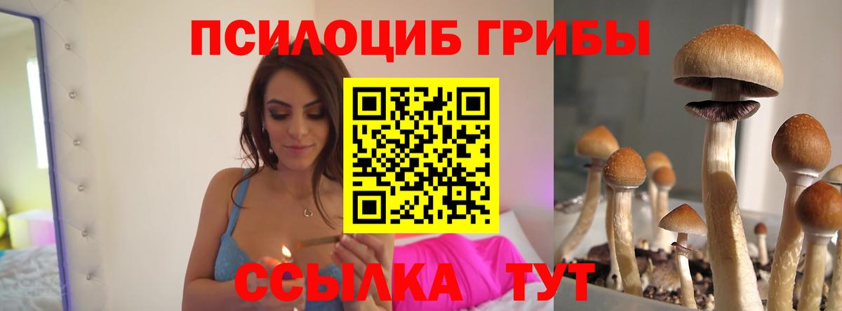 Котовск  Галлюциногенные грибы мухоморы  Галлюциногенные грибы ЛСД  Вход с VPN 